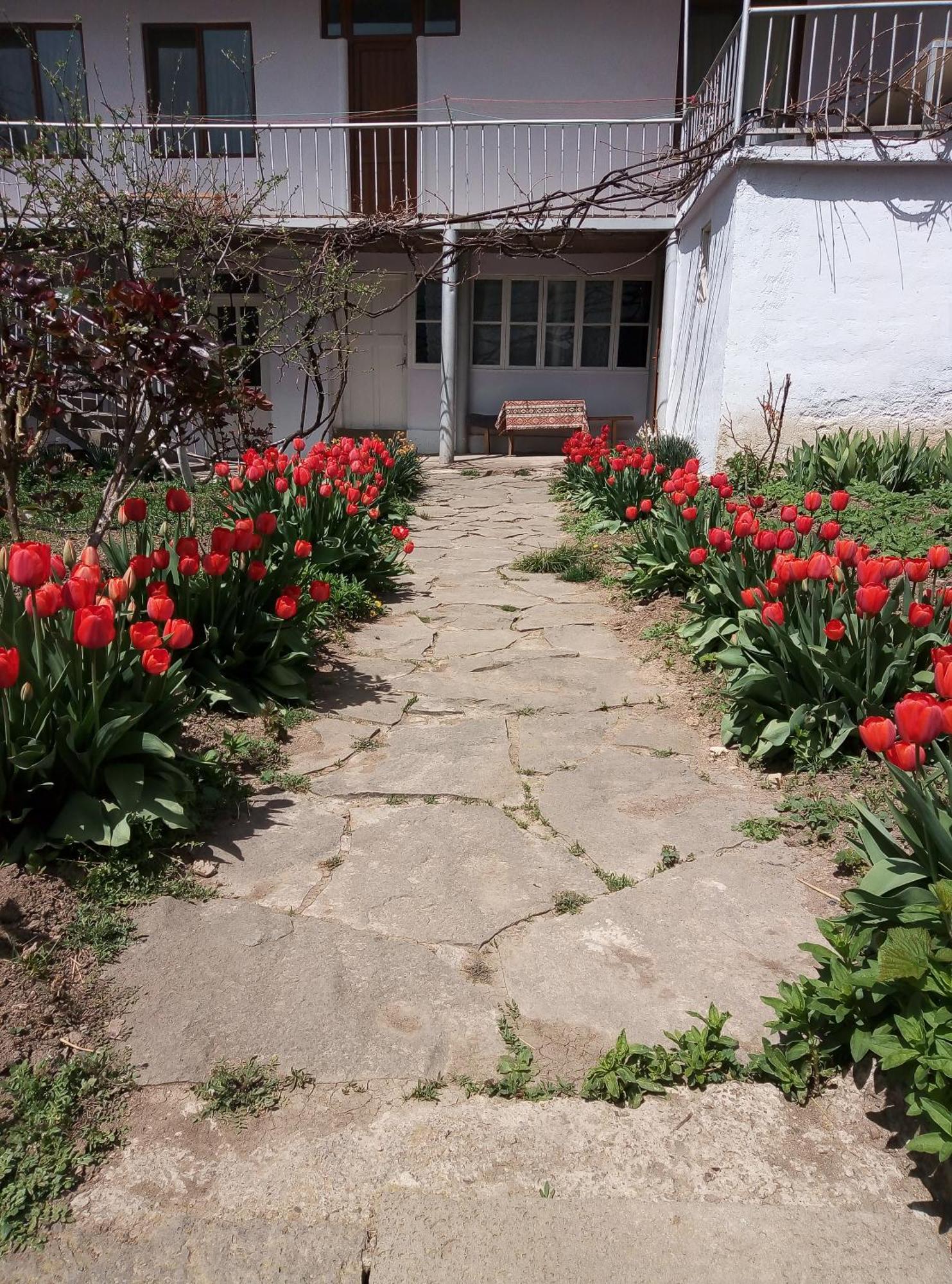 Aspet B&B Tatev Exterior foto
